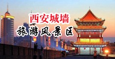 大鸡巴插小逼逼视频免费中国陕西-西安城墙旅游风景区